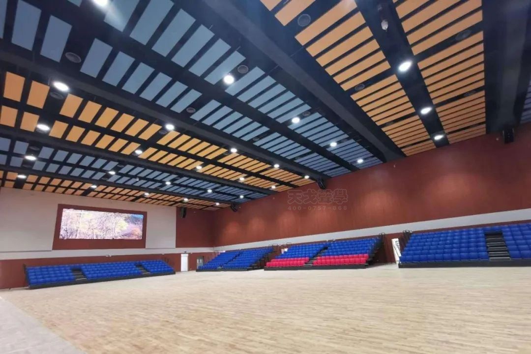 廣東廣州增城經濟開發區體育館-2